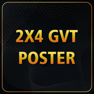 2x4 Digital GVT