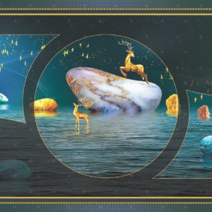 DECOR-08