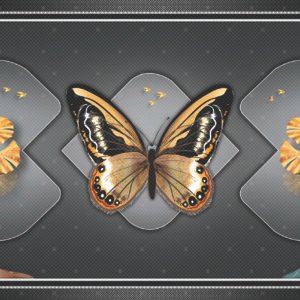 DECOR-13