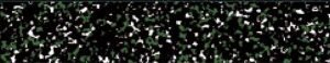 BLACK CHIPS